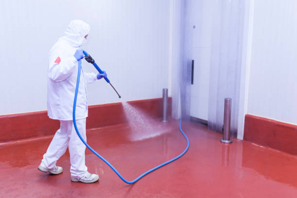 Best Patio and Deck Pressure Washing  in Black River, NY
